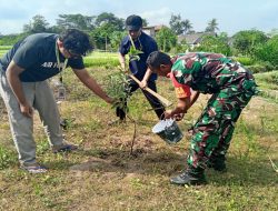 Lestarikan Alam, Babinsa Koramil Garum Laksanakan Penghijauan
