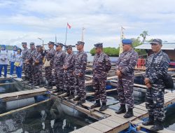 Lantamal XIV Melaksanakan Panen Raya Ikan di Keramba Jaring Apung Kampung Biantsi