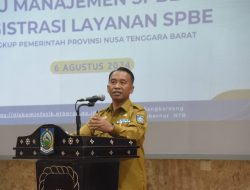 Buka Rapat Koordinasi Reviu Manajemen SPBE dan Registrasi Layanan SPBE Lingkup Pemerintah, Kadiskominfotik NTB : Ayo Kawal dan Seriusi