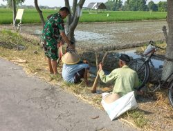 Babinsa Sawit Dukung Ketahanan Pangan Dengan Terjun Langsung Ke Lapangan