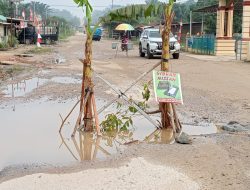 Kinerja PUPR Provinsi Riau Keren…Warga Desa Sumber Sari Tanam Pohon Pisang di Tengah Jalan