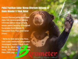 Polisi Pastikan Kabar Warga Diterkam Beruang di Kuala Mandor B Tidak Benar
