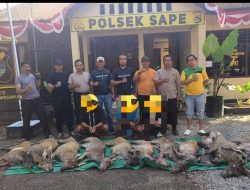 Tiga Warga Monta Diamankan, Diduga Bawa 10 Rusa dari Komodo