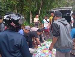 Laka Lantas di Jalan Raya Pusuk Merenggut Nyawa
