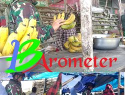 Satgas Yonif 323 Buaya Putih Kembali Bahagiakan Masyarakat dengan Rosita