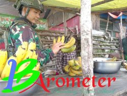 Rosita Habema Bantu Ekonomi Warga Amuleme