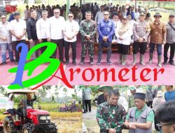 Panen Raya Padi, Dandim 0808 dan Kadistan Kabupaten Blitar Dampingi Dirjen Perlindungan Tanaman Kementan RI Di Desa Soso