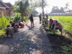Wujudkan Lingkungan Bersih, Babinsa Koramil 0818/35 Pagelaran Bersama Warga Karya Bakti Pembersihan Jalan