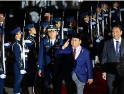 Usai Bertemu Menhan AS, Presiden Prabowo Nyatakan Dukungan Solusi Dua Negara untuk Selesaikan Konflik Falestina