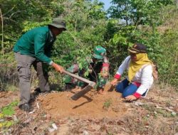 Jaga Lingkungan Tetap Asri, Babinsa Koramil 0808/18 Panggungrejo Bersama Karang Taruna Lakukan Penanaman Pohon