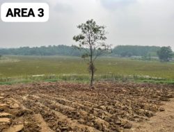 Dukung Ketahanan Pangan, Brimob Polri Siapkan 5 Hektare Lahan untuk Tanam Jagung Bersama Masyarakat