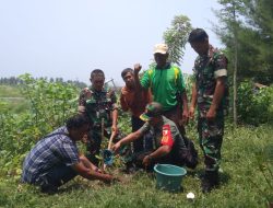 Dukung Ketahanan Pangan, Koramil 0825/01 Banyuwangi Tanam Puluhan Bibit Pohon Sukun