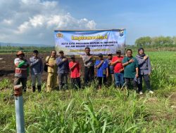 Tingkatkan Ketahanan Pangan, Polsek Kalipare Laksanakan Penanaman Tumpang Sari Ubi Kayu dan Jagung