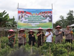 Polres Landak Bersama Forkopimda Wujudkan Swasembada Pangan melalui Program Nasional