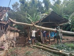 Gerak Cepat, Babinsa Klego Bantu Evakuasi Pohon Tumbang yang Menimpa Rumah Warga