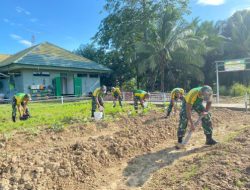 Ciptakan Ketahanan Pangan, Satgas Pamtas Yonarmed 11 Kostrad Tanam Sayur di Sekitar Pos