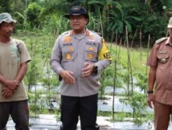 Dukung Program Ketahanan Pangan Presiden RI, Kapolres Abdya Cek Lahan Pekarangan Bergizi