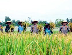 Personel Polres Lhokseumawe Dilatih Menjadi Penggerak Ketahanan Pangan