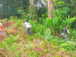Dukung Ketahanan Pangan, Satgas Yonif 144/JY Merubah Lahan Tidur Jadi Produktif
