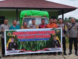 Penyaluran Benih Jagung Hibrida: Upaya Meningkatkan Ketahanan Pangan di Mempawah Hulu