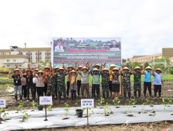 Koarmada III Dukung Gerakan Tanam Cabai Pemda Kabupaten Sorong