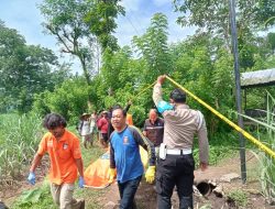 Polisi Selidiki Penemuan Mayat Perempuan di Gubuk Persawahan Kepanjen Malang