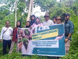 PWI KLU Tanam 500 Pohon Beringin Untuk Generasi Mendatang