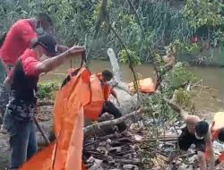 Dua Hari Dicari, Warga Mempawah Hulu Ditemukan Mengapung di Sungai