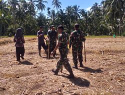 Wujud Dukungan Untuk Ketahanan Pangan Koramil 0825/20 Dampingi Petani Tanam Jagung