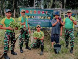 Satgas Pamtas Yonarmed 11 Kostrad Gelar Panen Bersama Warga Desa Tanjung Aru