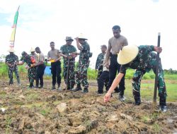 Dandenma Pasmar 3 Hadiri Penanaman Jagung Serentak 1 Juta Hektar