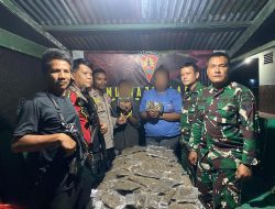 3,4 Kilogram Ganja Berhasil Diamankan Satgas Pamtas Yonif 131/Brajasakti di Perbatasan RI-PNG