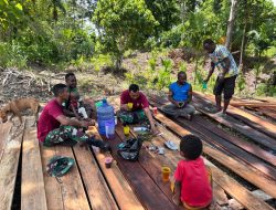 Selalu Hadir di Tengah Masyarakat, Satgas Pamtas Yonif 131/BRS Bantu Bangun Rumah Warga Papua*