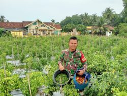 Babinsa Koramil 426-01/SP, Kodim 0426/ Tulang bawang Beri Inspirasi kepada Warga