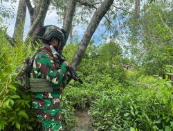 SATGAS Pamtas Kewilayahan Yonif 141/AYJP RI-PNG POS Fayit laksanakan Pengamanan Parimeter