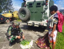 Satgas Yonif 323 Kostrad, Terus Melangkah Dukung Ekonomi Petani Lokal dengan ROSITA