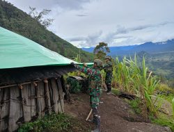 Satgas Buaya Putih Kostrad Gotong Royong Perbaiki Honai Masyarakat