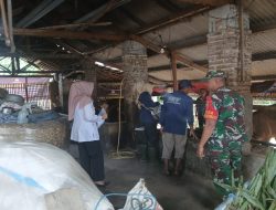Babinsa Sumberdiren Cegah PMK di Blitar