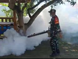 Babinsa Dan Puskesmas Sambi Berjibaku Berantas DBD
