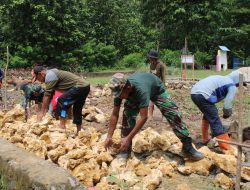 Walau Panas Terik, Warga dan Anggota Satgas TMMD 123 Kodim 1416/Muna Tetap Semangat Bangun Fondasi SD di Desa Momuntu
