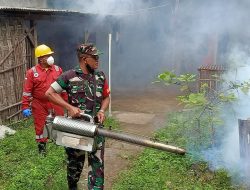 Babinsa Sambi Aktif Bantu Puskesmas Basmi Sarang Nyamuk