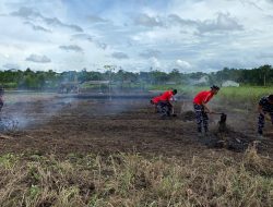 Prajurit Pasmar 3 Siapkan Lahan untuk Penanaman Jagung dalam Mendukung Ketahanan Pangan Nasional