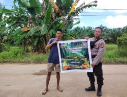 Personil Polsek Mandor Laksanakan Penanaman Tanaman Jagung