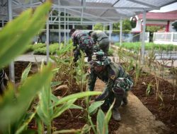 Dandim 0418/Palembang tinjau kesiapan Urban Farming dan RTLH