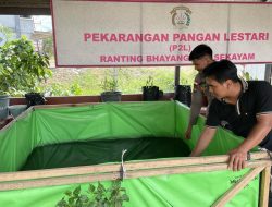 Program Pekarangan Bergizi Polsek Sekayam Dukung Ketahanan Pangan