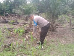 Sinergi Polisi dan Petani: Cek Progres Jagung untuk Ketahanan Pangan