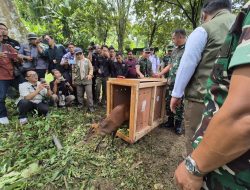 Konservasi Alam Kasad Lepasliarkan Satwa Dilindungi di Hutan Sanggabuana