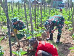 Satgas Yonif 144/JY Dukung dan Tingkatkan Hanpangan di Perbatasan