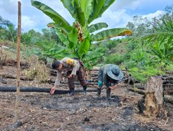 Sukseskan Program Ketahanan Pangan, Bhabinkamtibmas Bersama Warga Menanam Tanaman Jagung