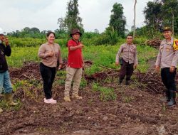 Dukung Ketahanan Pangan, PT. CNP dan PT. TAA Siap Tanam Jagung di Sebangki